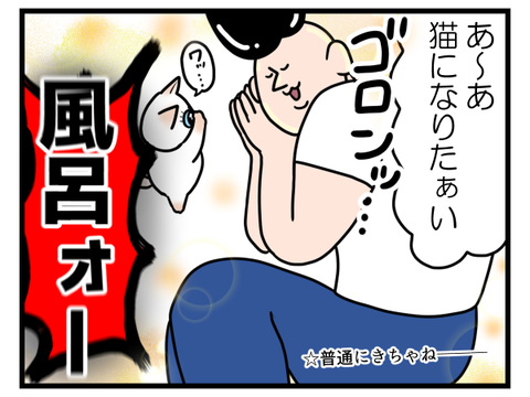 猫ちゃんって良い匂いすぎない？2