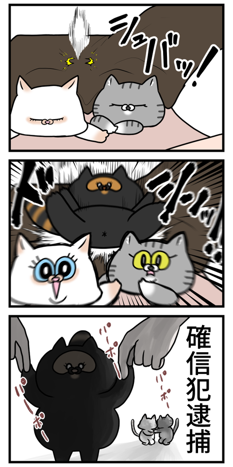 仲間に入りたいならやり方間違えてる猫3