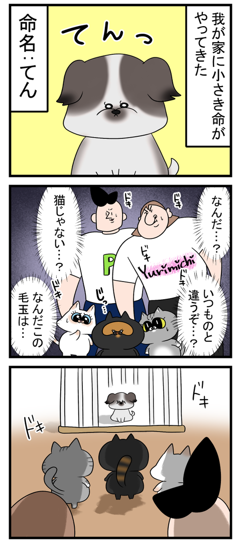 小さき命がやってきた