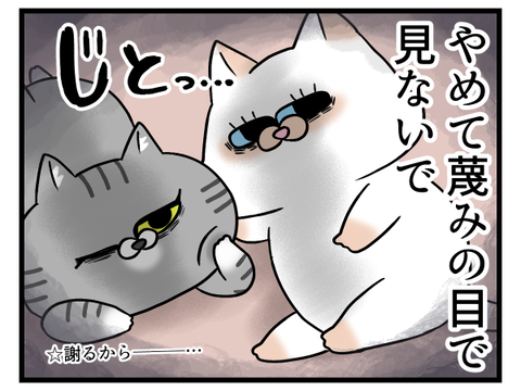 猫が可愛すぎてたまにハイになっちゃう2