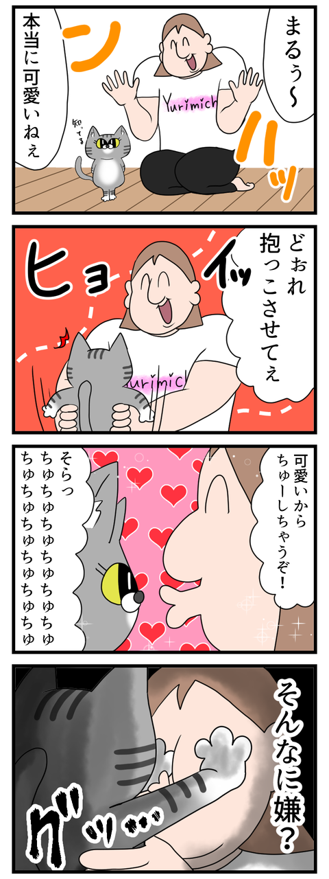 静かに全力拒否する猫