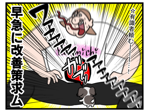 子犬の噛み癖の治し方求ム2