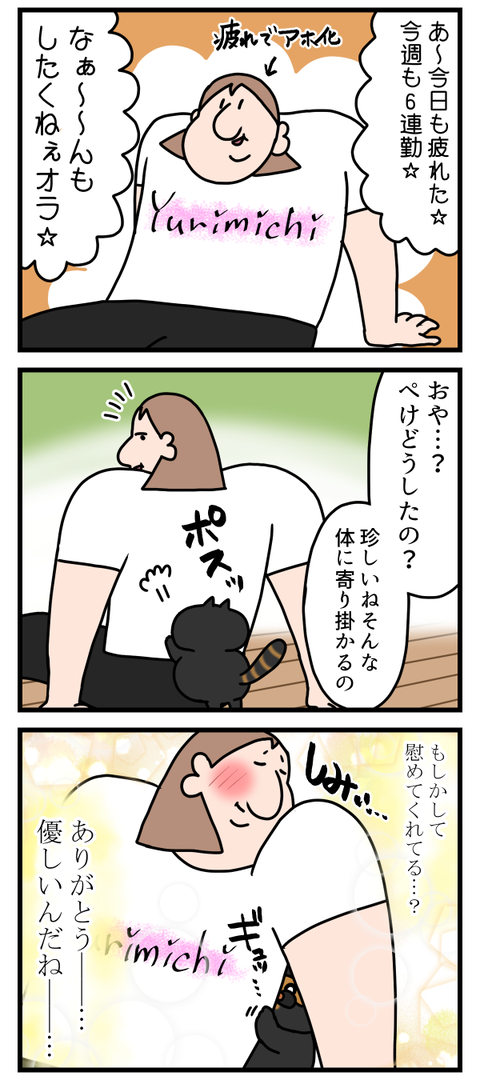 猫ちゃんに期待してはいけない