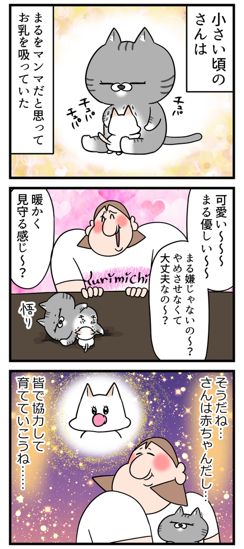尊い子猫のお乳吸い