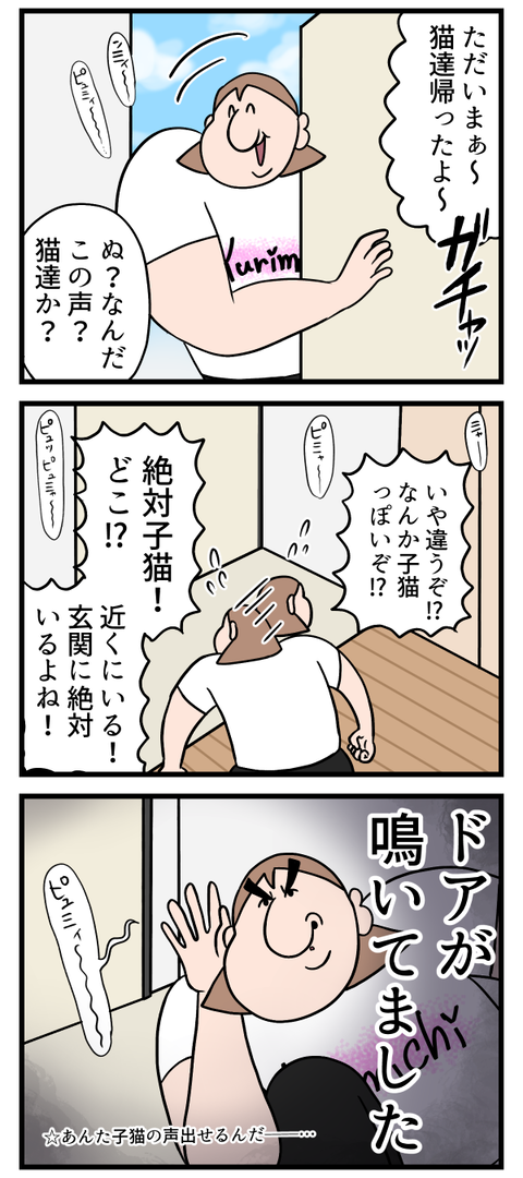 子猫の声が聞こえたの