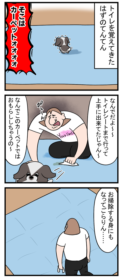 賢いのか馬鹿なのか