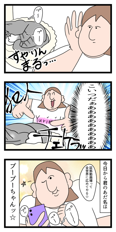 可愛いくせしていびきかいてる猫ちゃん2