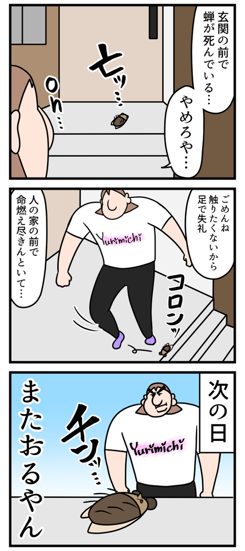 多分今年一夏っぽい体験