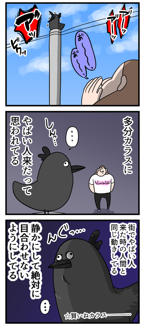 カラスにご挨拶してみた2