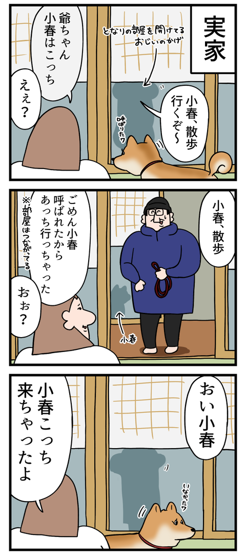 実家で始まったコント劇場