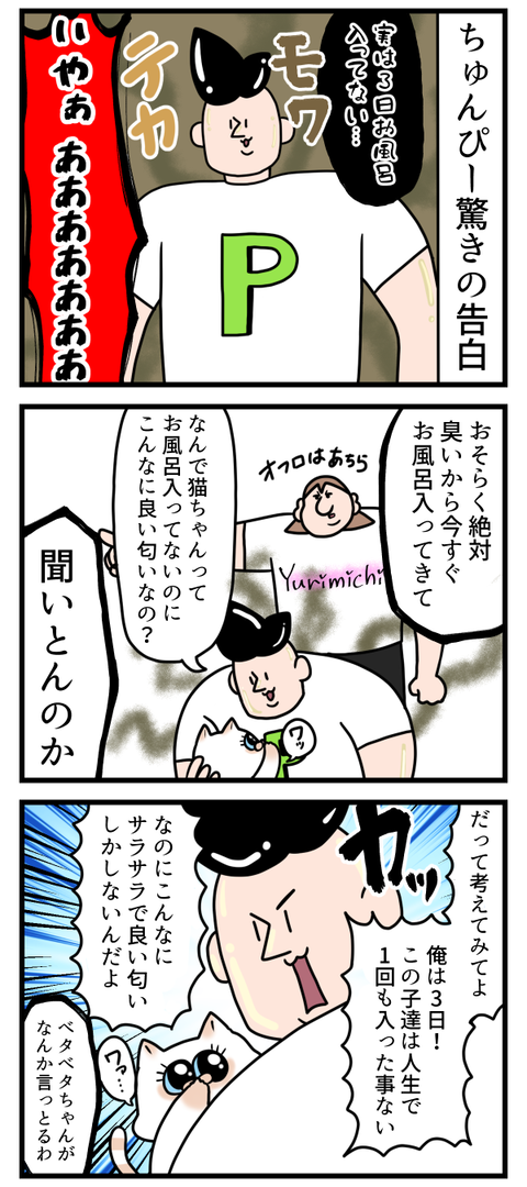 猫ちゃんって良い匂いすぎない？