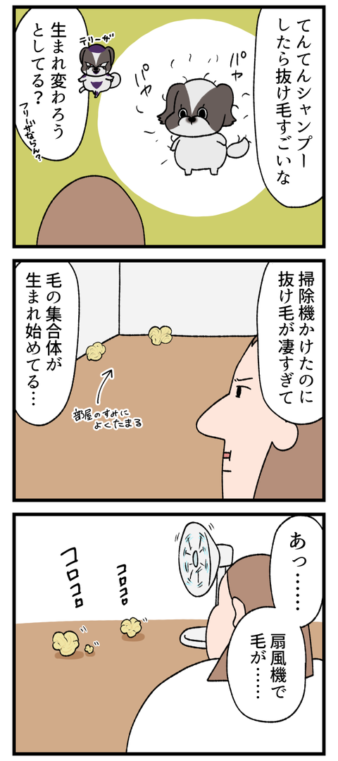 犬の抜け毛がすっごい