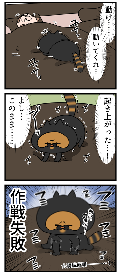 朝から地味にな攻防戦2