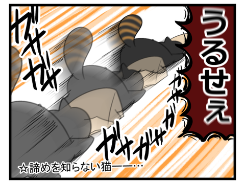 猫ってなんで中に入りたがるの2