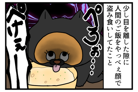 食い意地張りすぎて目がやばい猫3