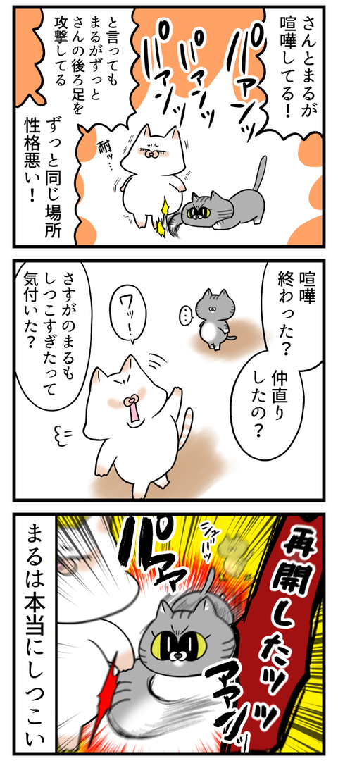 猫にもねちっこいやつはいる2