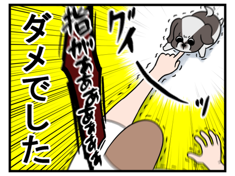 しつけって本当に難しい2