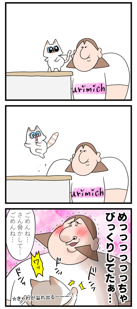 うちの猫の人間っぽいところ初めて見た2