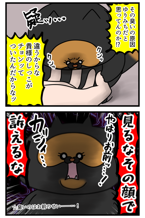 猫に冤罪かけられる事なんてあるんだね3