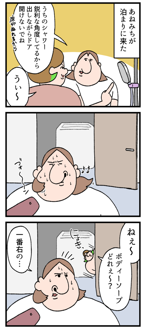 鋭利な角度を持つ我が家のシャワー