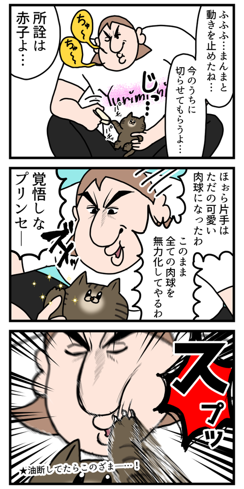 赤子（子猫）の爪切りなんてお手のもんよと威張った結果3