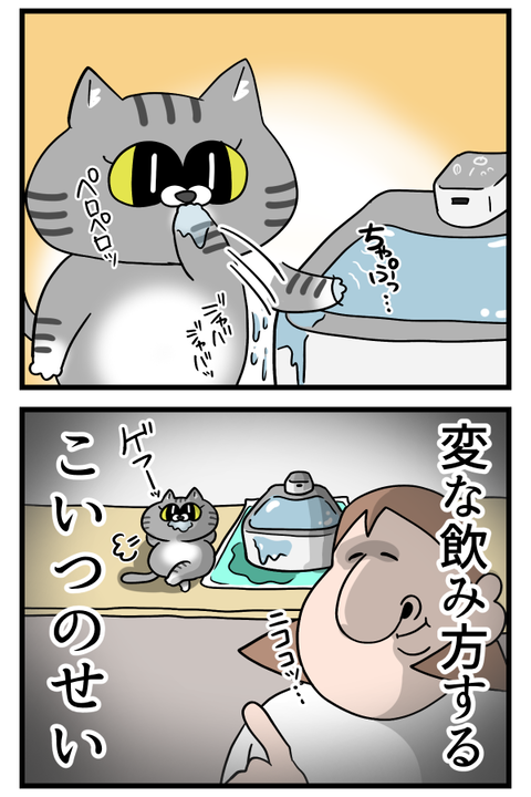 猫の水飲み場がビチャビチャになるんです2