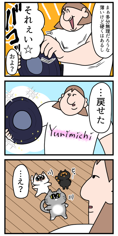 蓋が薄かったからか己のパワーを過小評価してたのか2