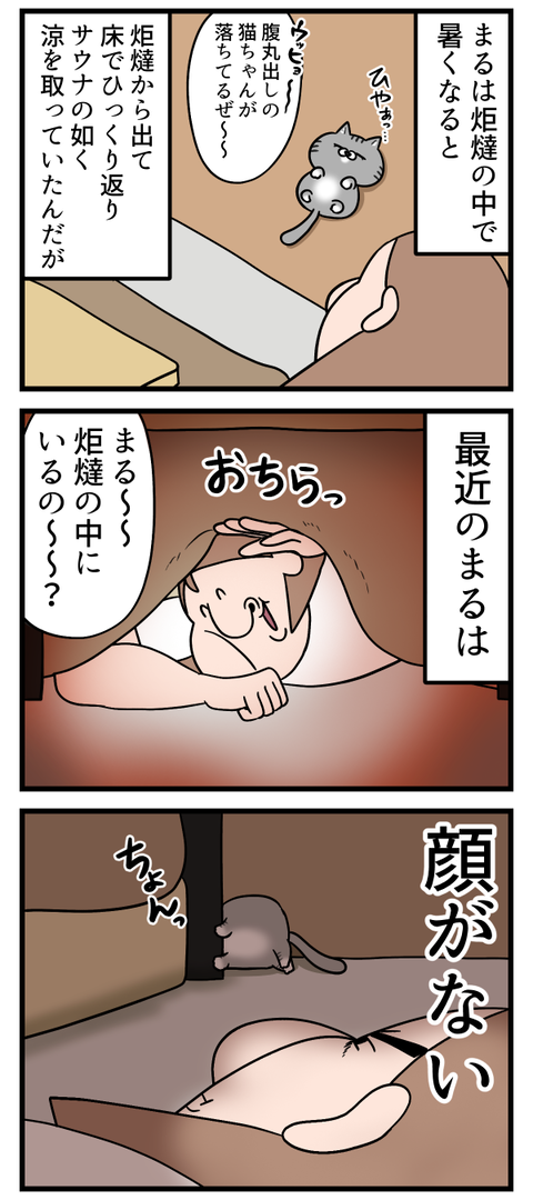我が家の賢賢猫（かしこかしこキャット）