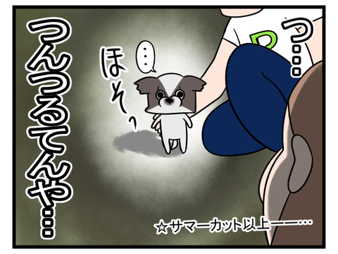 人間も動物も毛って大事なんだなって2