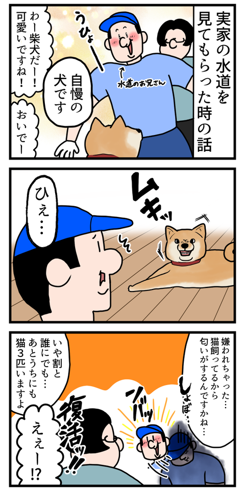 水道のお兄さんが兎に角可哀想だった話