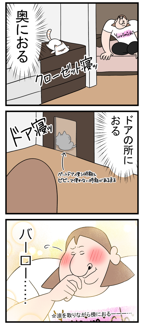 傍に猫たちがいるこの上ない幸せ2