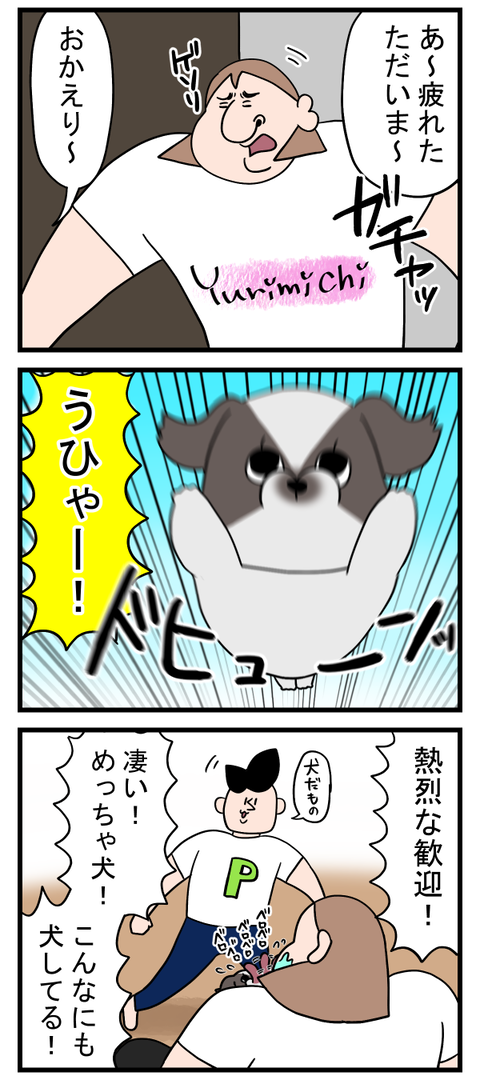 犬が犬してるとめっちゃ嬉しい
