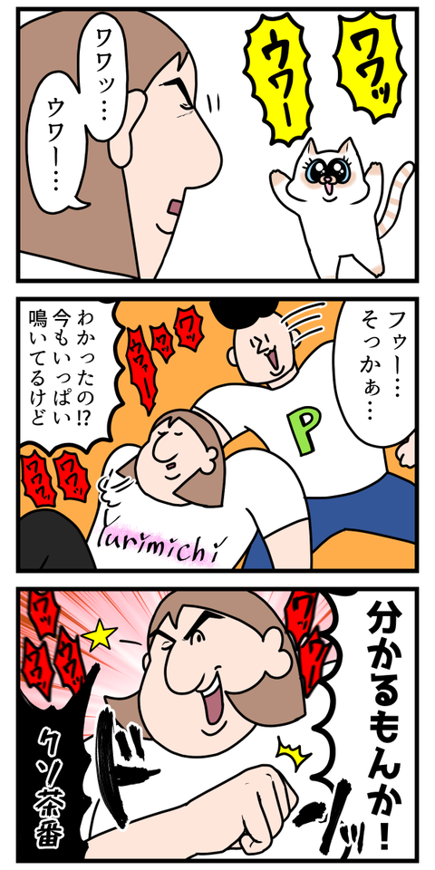 猫飼いが良くやると思う茶番2