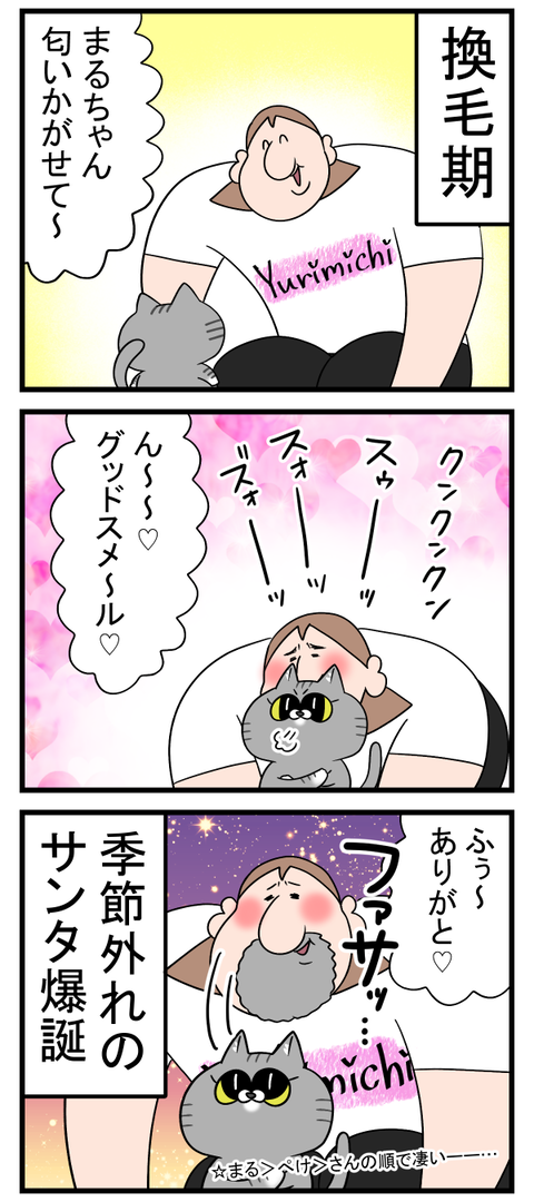 換毛期舐めてる人へ