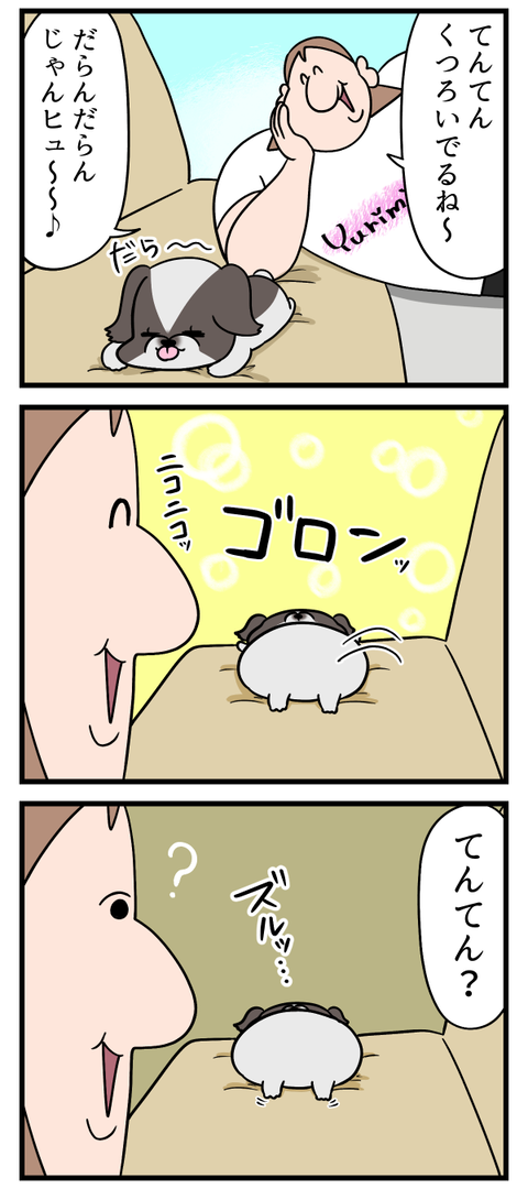 くつろぎすぎだぜ！犬！！！