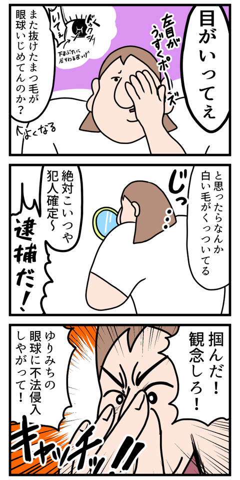 ラクダのまつ毛分けてほしい