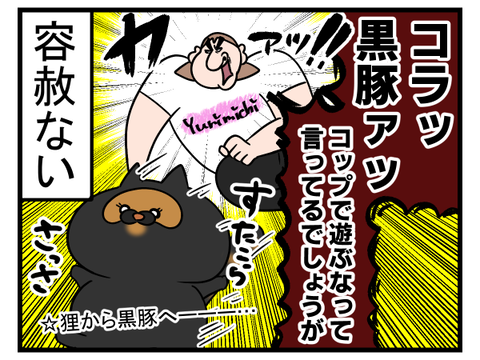 猫に対してあだ名を使い分けている2
