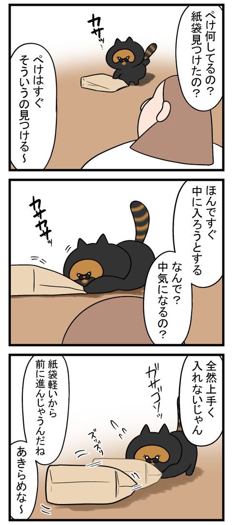 猫ってなんで中に入りたがるの