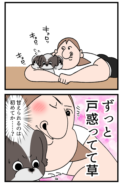 ペットから癒しを2