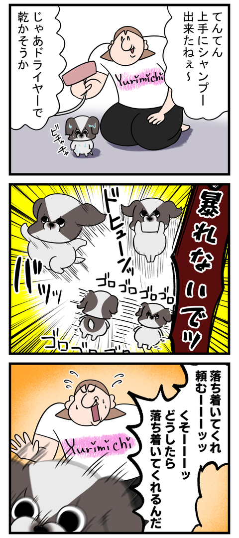 犠牲を伴うドライヤー