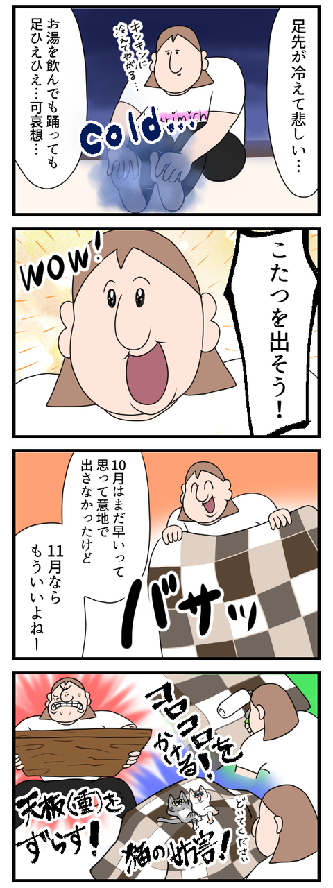 寒いからこたつ出したんだけどさ