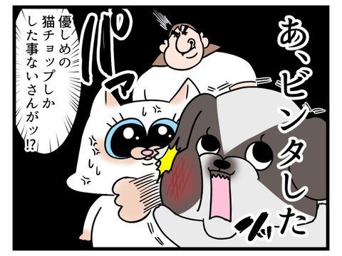 優しい猫を怒らせる犬2