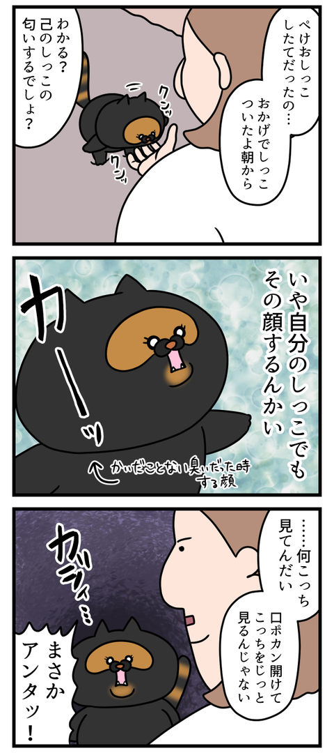 猫に冤罪かけられる事なんてあるんだね2