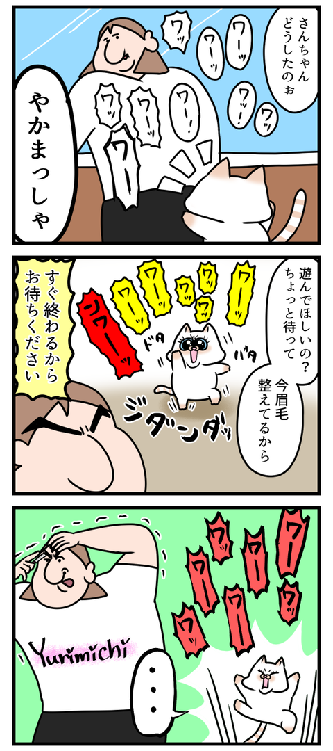 ふわふわ毛布に出会えた理由