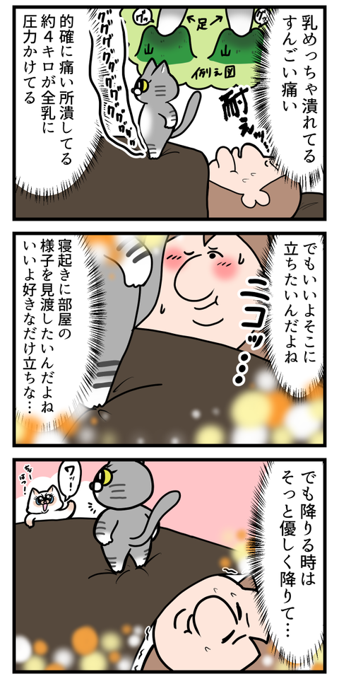 やっぱり命狙ってきてる猫2