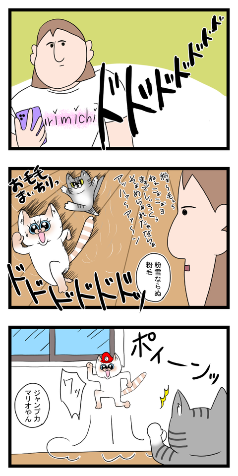 真実はリーチの差