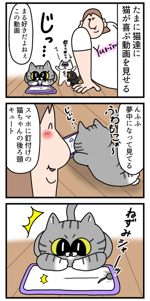 文明の利器に触れる猫ちゃん可愛い