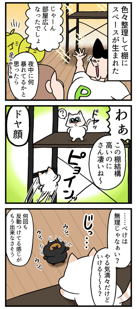 改めて感じる猫ちゃんの運動神経の差