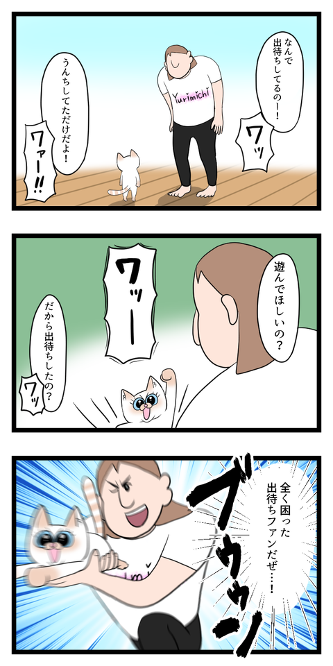 出待ちしてくる猫2