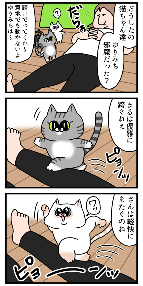 猫ちゃん達の人の跨ぎ方に性格出てる
